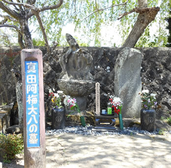 歯と口のデジタル博物館